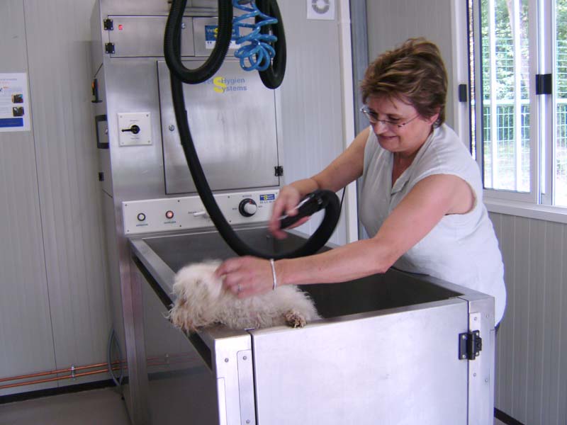 Salon de toilettage pour chiens en Loir-et-Cher