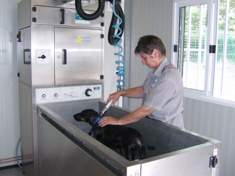 Salon de toilettage pour chiens en Loir-et-Cher